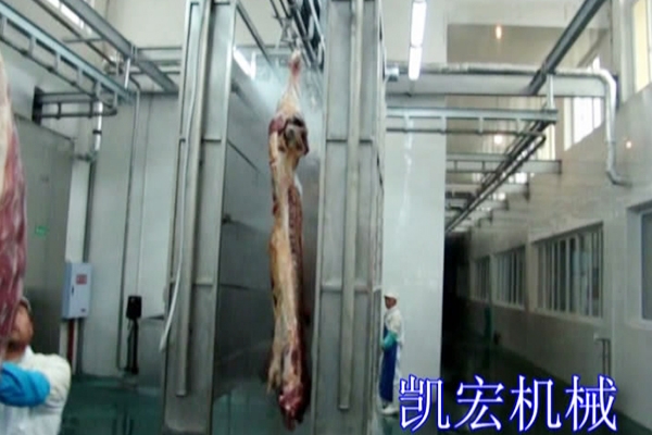 胴體自動清洗裝置