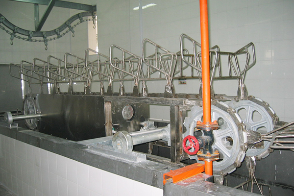 Blanching machine